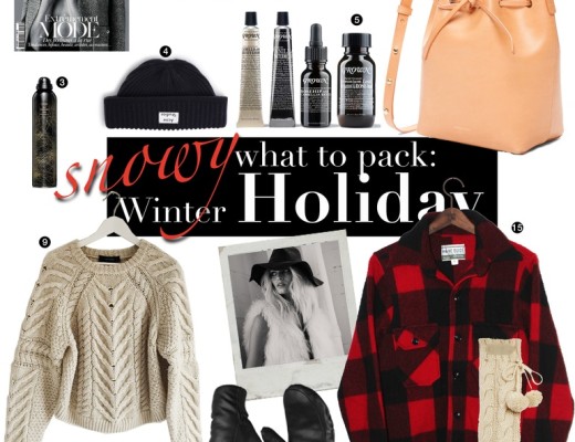 whattopack-winter-holiday-736